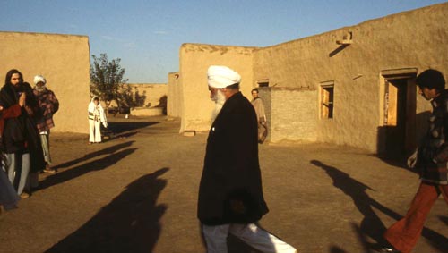1978-356