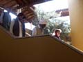 almeria 2006 007